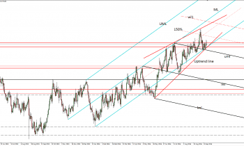 nzdusd