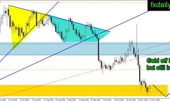 golddaily-22-november-2016