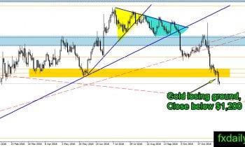 golddaily-24-november-2016