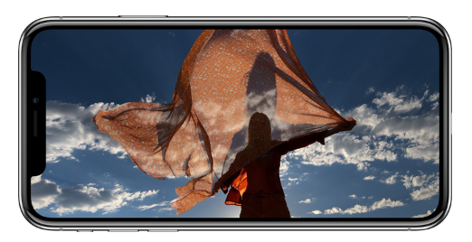 Apple iPhone X