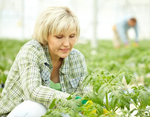 retirement plans for women