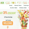 Online grocery auction