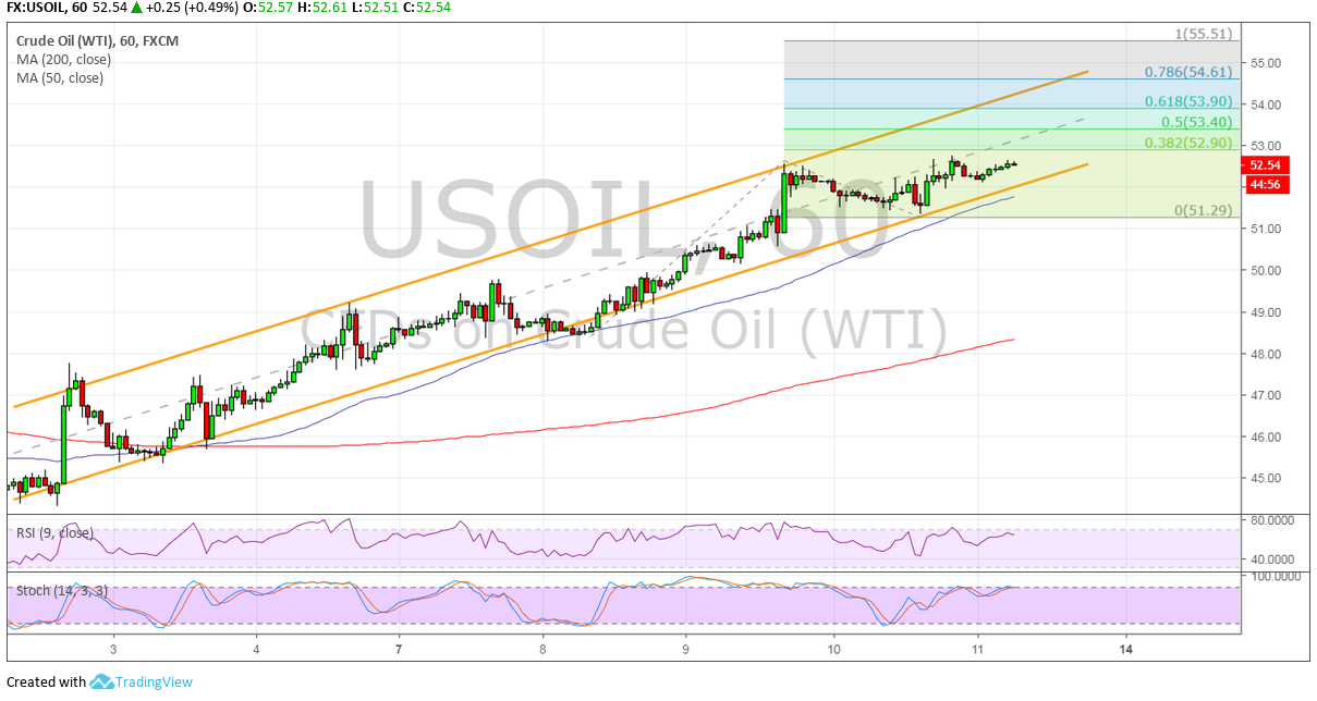 WTI Crude Oil Price Analysis for January 11, 2019