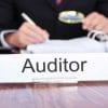 business audits