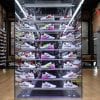 retailer business strategies by Foot Locker