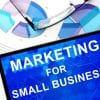 Marketing plays a crucial role for businesses, particularly small and middle-sized ones. Of course, the marketers face much more challenges in dealing with the competition. They include particularly smaller teams, smaller budgets, and less time. As a result, the small businesses need to avoid even small marketing mistakes as they may lead to terrible effects upon the organization. 3 Marketing Mistakes to Avoid by Small Businesses In an interview with Kimberly Whitler, a senior contributor for Forbes, Kipp Bodnar notes three main mistakes that small business marketers often do. They are described as follows: Failure to Maintain Loyal Customers Loyal customers are keys for small businesses to survive. Therefore, losing sight of loyal customers is a fatal mistake that marketers often do. Be happy if you have them. Therefore, make sure to maintain them. The problem is that many small businesses fail to have great insight into their loyal customers. As a result, they neither take necessary steps nor use the available resources to maintain the relationships and keep them stronger. One of the ways to keep the sight of loyal customers is investing in problem solving systems (in terms of technology or human resources). This allows the organization to address any issues immediately before they grow into bigger problems. Failure to Find New Customers When combined with failure to maintain loyal customers, this problem makes the small business suffer. Of course, finding customers is not an easy thing for small businesses. One of the marketing mistakes in such company includes focusing on too many channels. As a result, the marketers are unable to execute them optimally. The problems are mostly failure to identify which channels contribute much for the business. Sometimes, marketers cannot identify the ideal target customers or customer segments. Kipp notes that small business marketers should have focused on building buyer personas and customer base. The customer base is not necessarily large. Instead, a small but loyal customer base means more for the small business to grow. Building a loyal customer base may take time. Failure to Generate Leads Another mistake often made by small business marketers is inability to generate leads. It is worse than inability to find new customers. Leads are good things for sales team. The marketing strategies aim at generating leads. This is the sign of effective marketing campaigns. In facts, surveys showed that only 1 in 10 marketers are satisfied with their lead generation. Actually, they have many tools for lead generation. One of the most important tools for converting prospects into customers is website. Therefore, the marketers need to make sure that the website is fully optimized to turn visits to leads. Even small businesses need professional web pages to guide the customers. According to Kipp Bodnar, the main challenges for small business marketers are finding customers and keeping them. A number of systematic challenges in small businesses may lead to marketing mistakes. Therefore, the businesses need to allocate enough resource to build the marketing team in terms of knowledge and skills. The right marketing systems, techniques, and tools are keys to successful marketing even in small businesses.