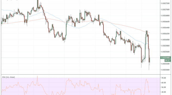 binance coin, bnb price