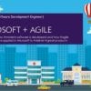 bureaucratic reform in Microsoft