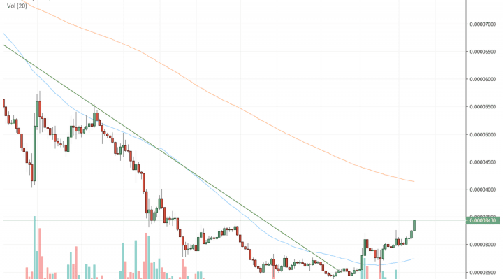 xrp, ripple