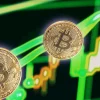Argentina, Brazil Recommended to Adopt BTC as a Common Currency