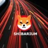 Shiba Inu Contemplates Releasing Shibarium Beta Network