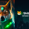Shibarium Unveils New Website and Intake Platform to Foster Collaborations