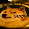Dogecoin Developer Tools Now Include QR Codes & Moon Phases