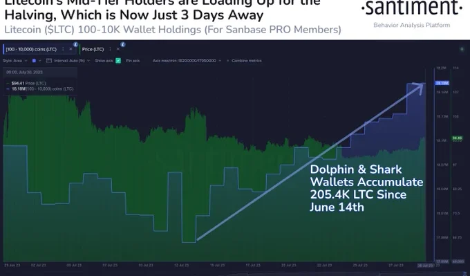 Litecoin halving