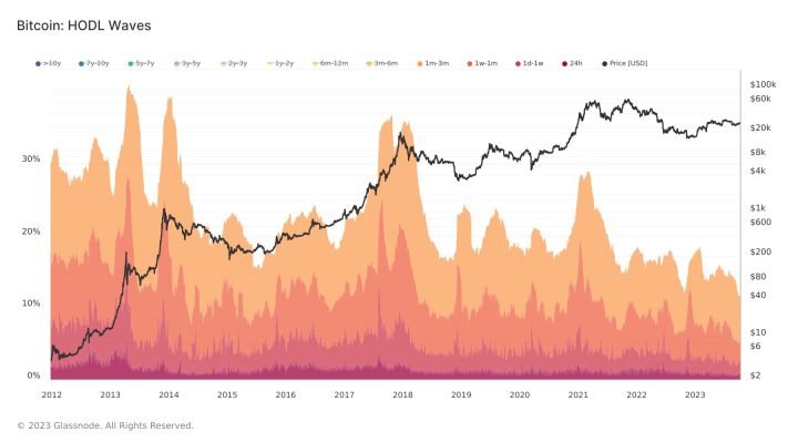 BTC Circulation