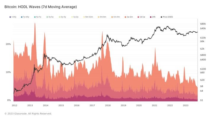 BTC Circulation