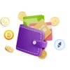 Fake Wallet Software