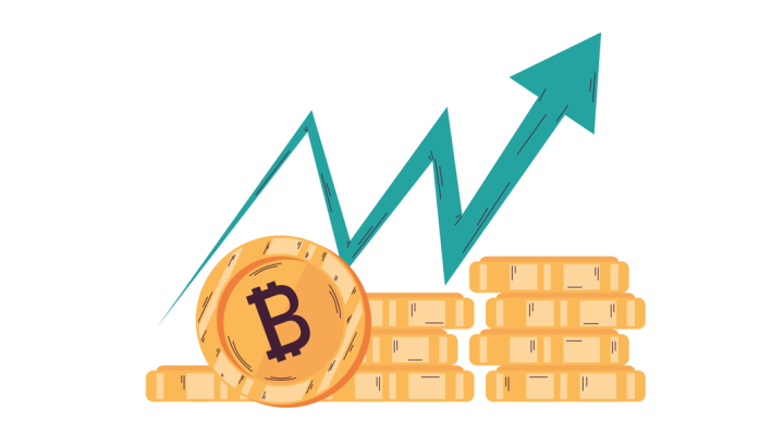Bitcoin up BTC bull run