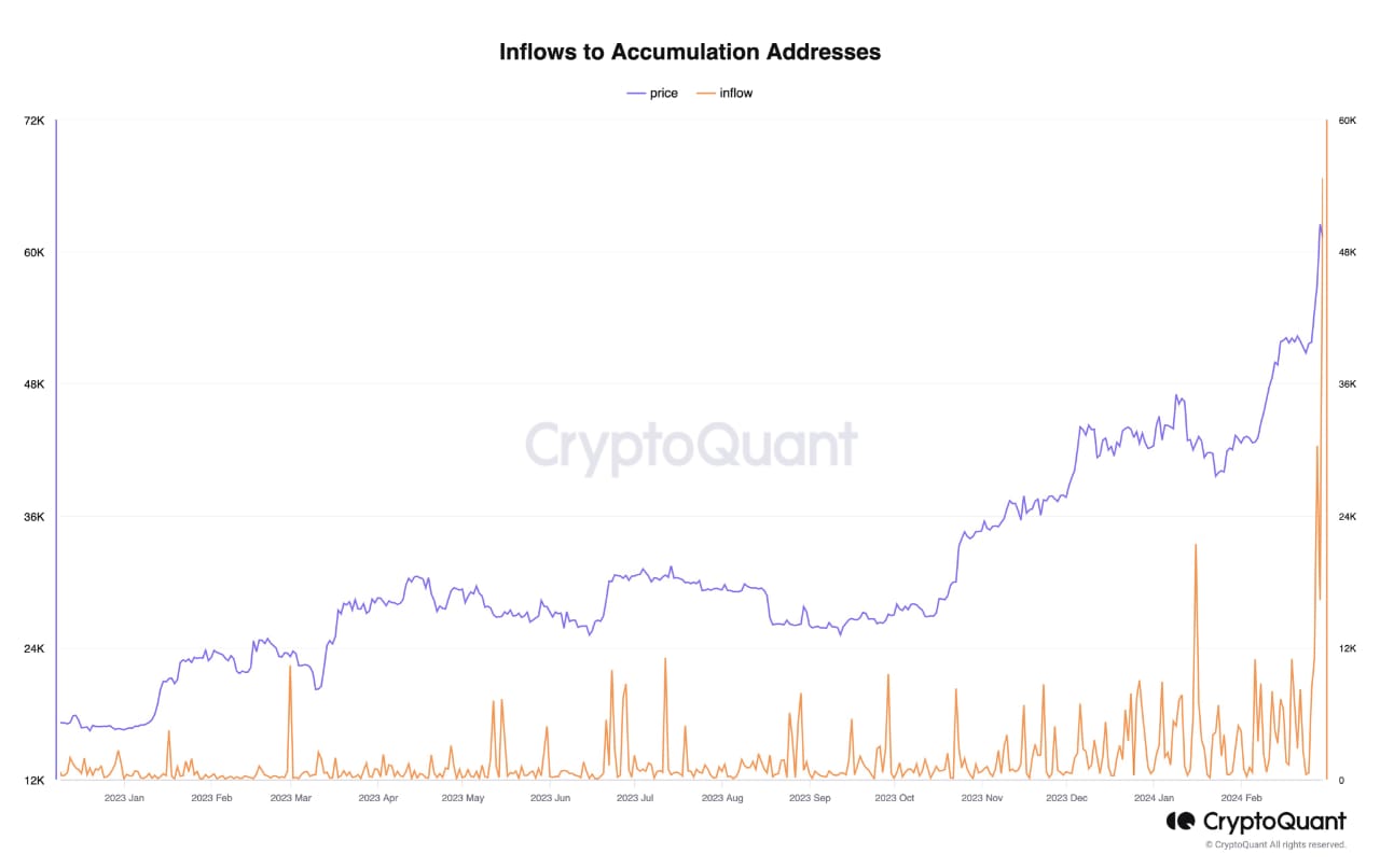 CryptoQuant Bitcoin Data 