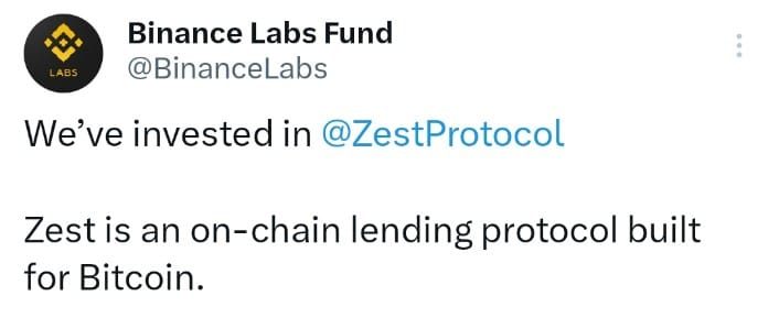 Binance Labs Partners Zest Protocol