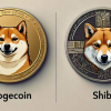 Meme Coin