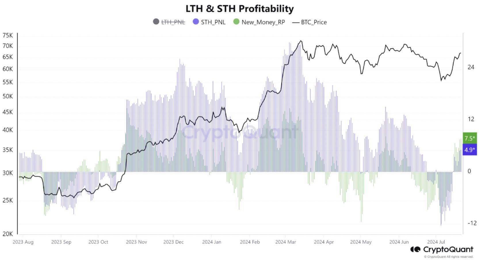 Bitcoin Profitablility CryptoQuant