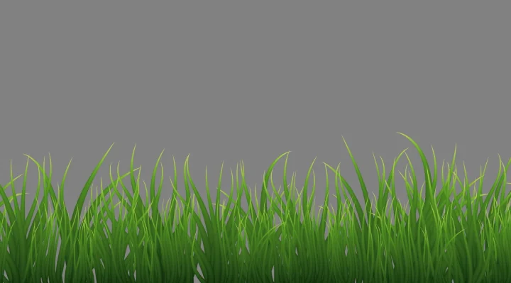 Grass launch date