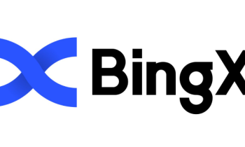 BingX Hack