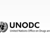 UNODC report