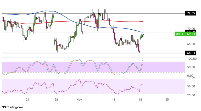 WTI Crude Oil Price Analysis for November 19, 2024