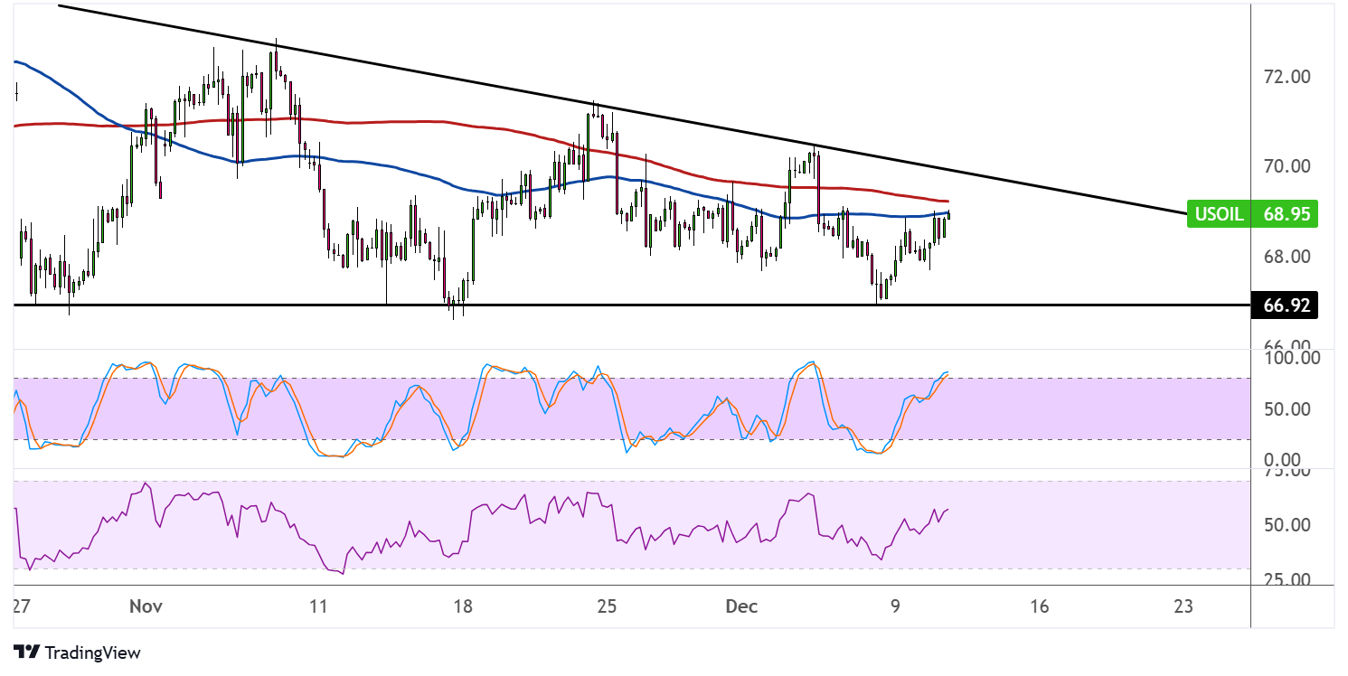 WTI Crude Oil Price Analysis for December 11, 2024
