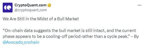 Bitcoin bull run is still going