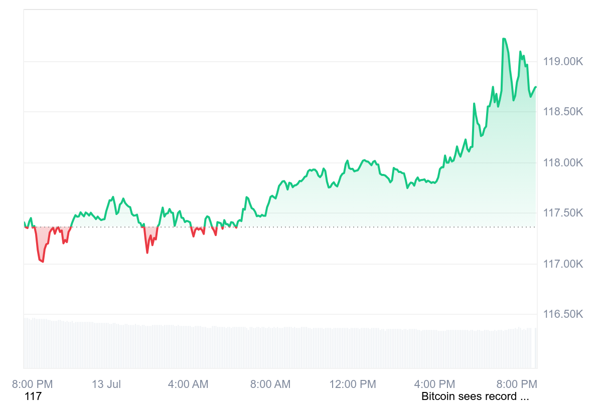 Bitcoin $119,216 all-time high