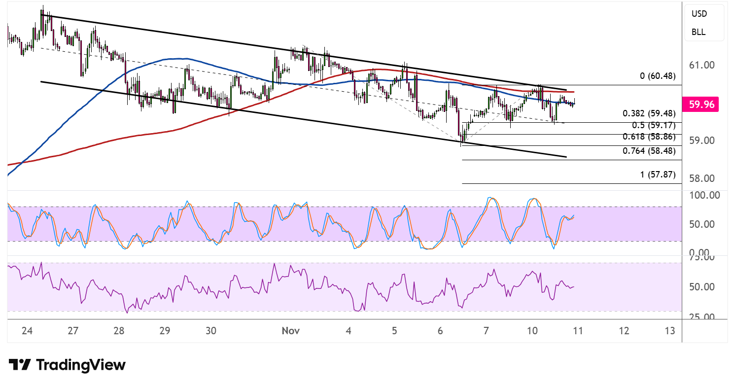 WTI Crude Oil Price Analysis for November 11, 2025