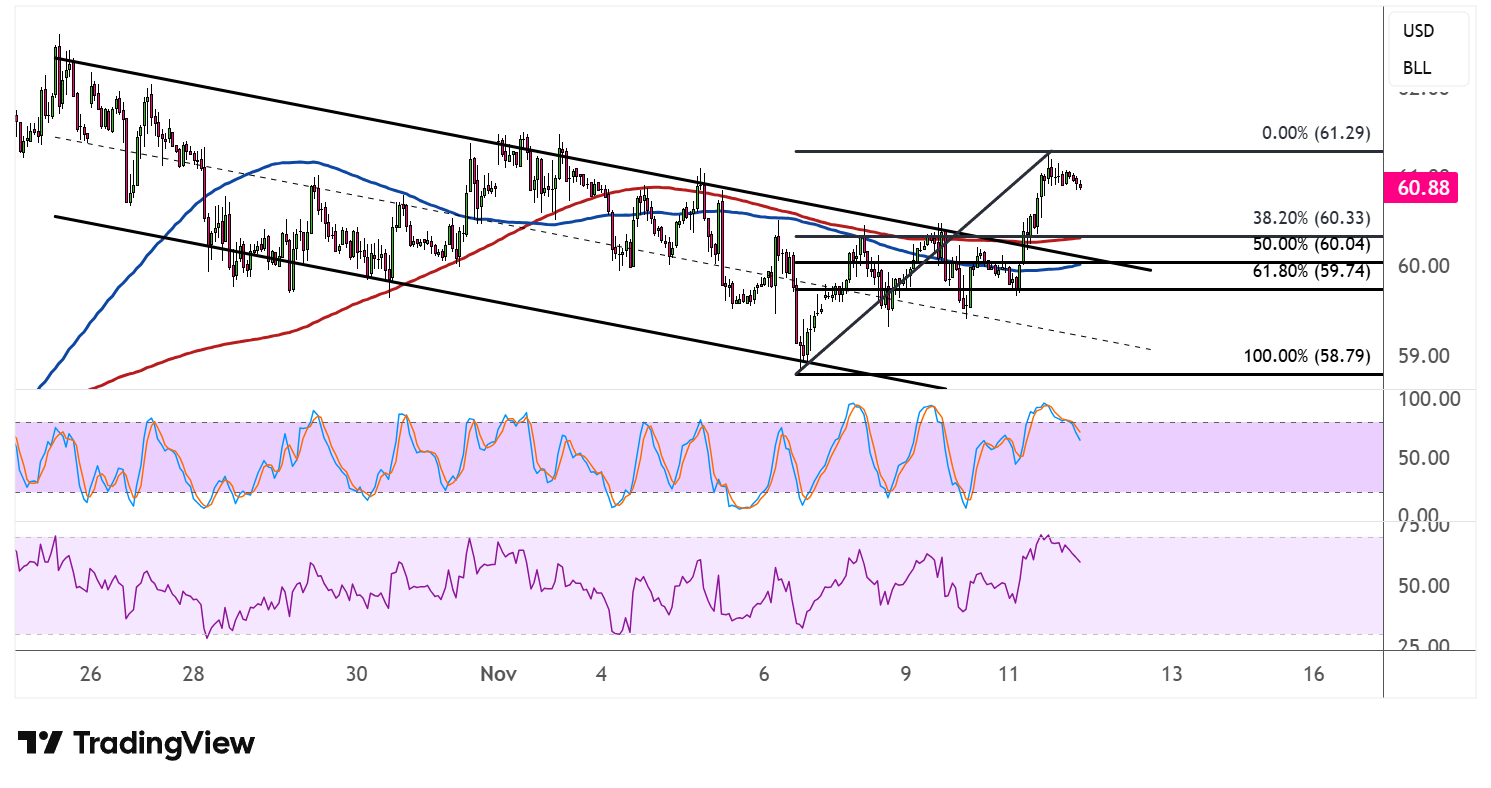 WTI Crude Oil Price Analysis for November 12, 2025