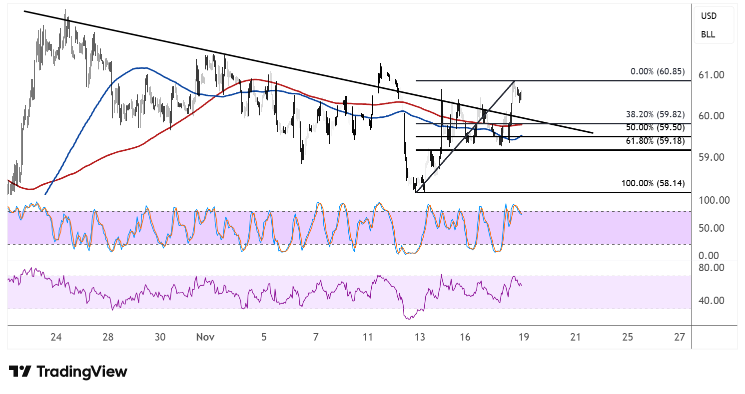 WTI Crude Oil Price Analysis for November 19, 2025