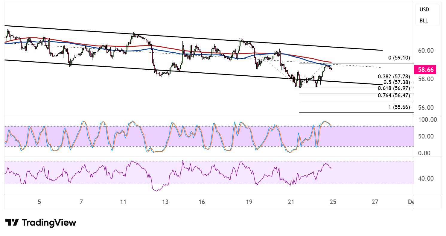 WTI Crude Oil Price Analysis for November 25, 2025