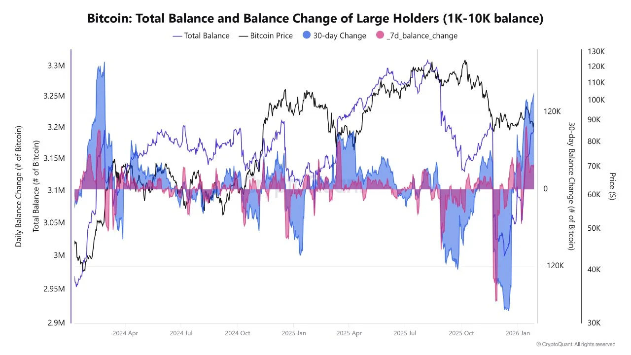 BTC-whale-holdings