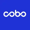 Cobo Wallet shut down